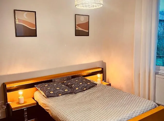 Accommodatie bij particulieren Petit A Louer Saint-Die-des-Vosges